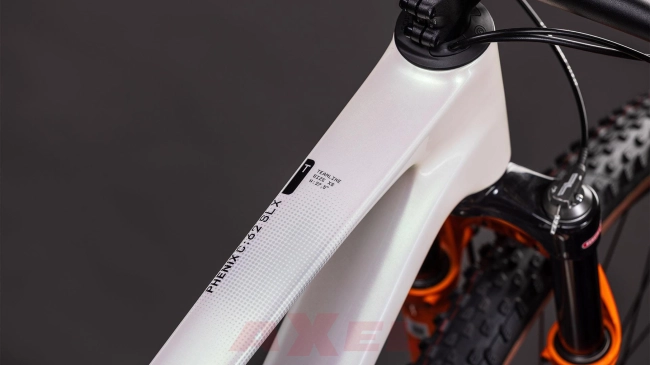 rower-cube-152900-phenix-c-62-slx-rookie (2).jpg