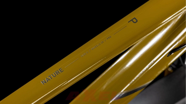 rower-cube-861211-nature-pro-allroad (1).jpg
